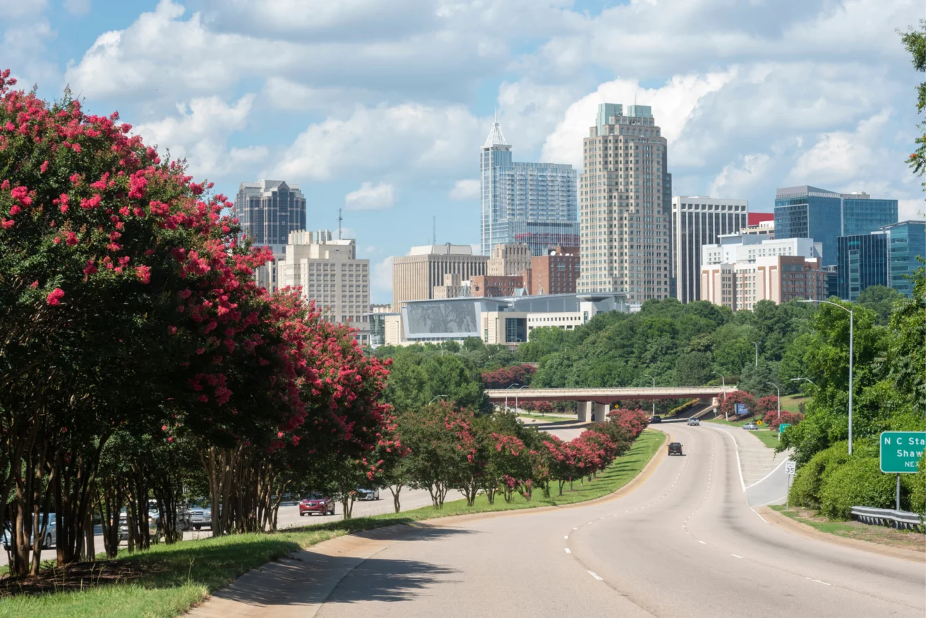 View of a city skyline with tall buildings seen from a roadway lined with pink flowering trees and green foliage under a cloudy sky.