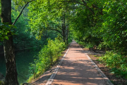 A walkable path in a park.