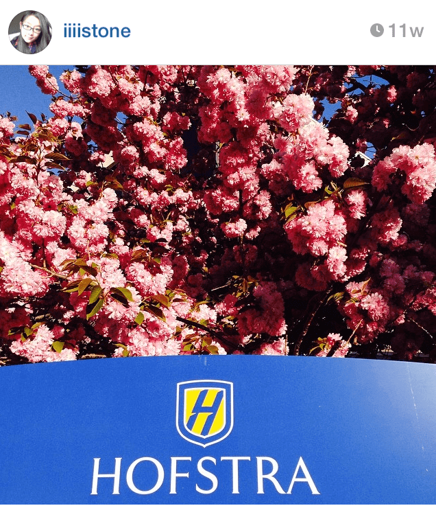Hofstra