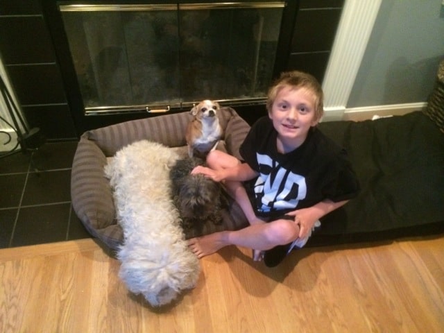 kid with a dog