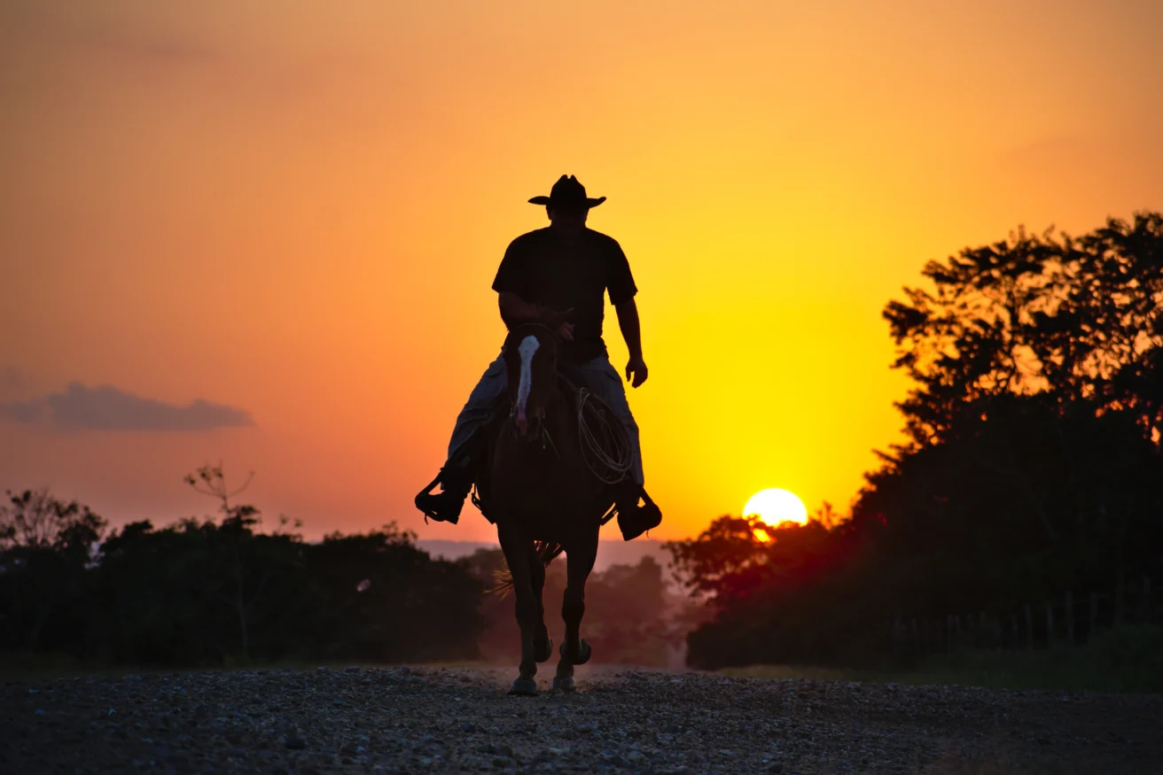 A person on horseback rides along a dirt path at sunset, silhouetted against an orange sky with trees in the background.