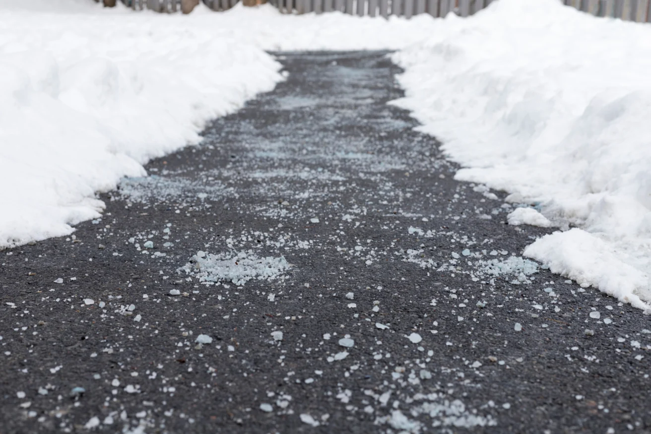 A snow-cleared path on the pavement is lightly covered with salt to prevent ice formation. Snow is piled on both sides of the path.