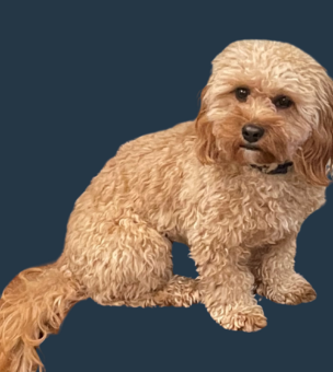 An image of Tucker Riedl